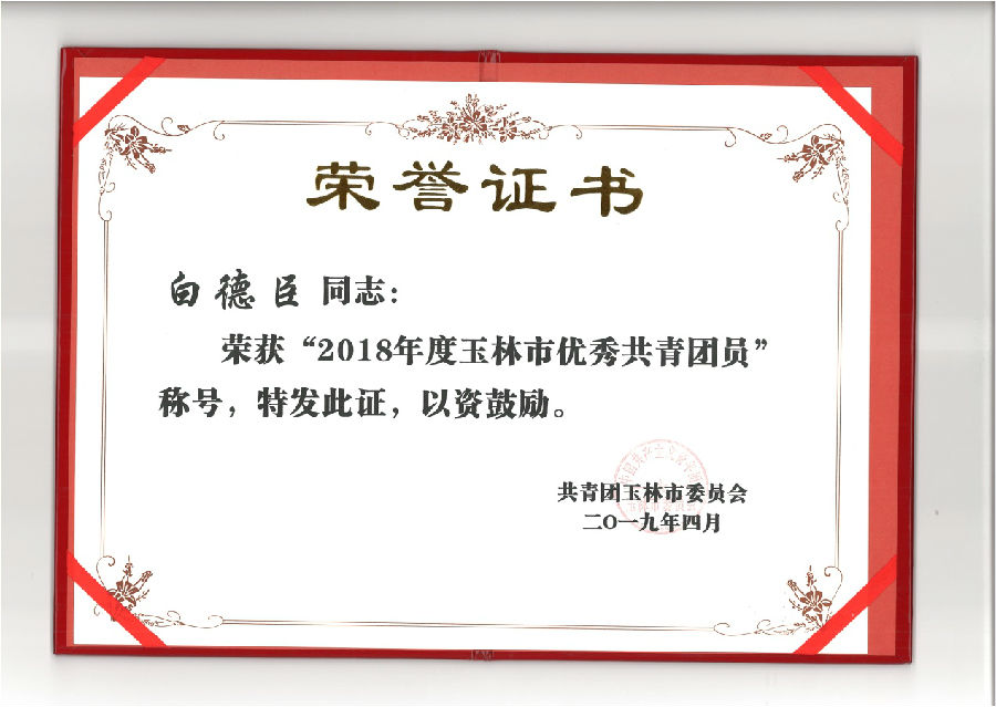 廣西銀億白德臣榮獲“玉林市優(yōu)秀共青團(tuán)員”稱號(hào)