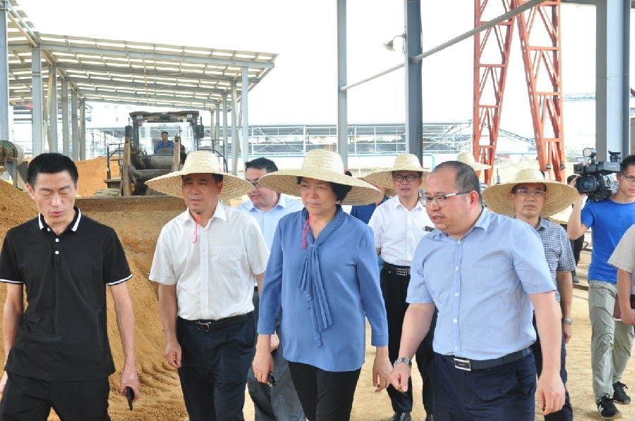自治區(qū)黨委常委、副主席嚴(yán)植嬋一行蒞臨廣西銀億調(diào)研